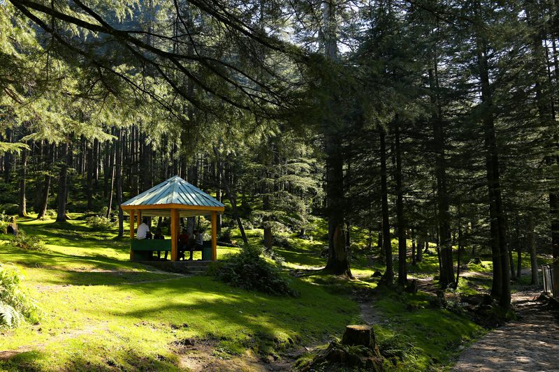 A gazebo in a garden clearing
