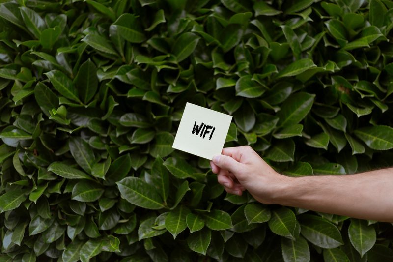 A hand holding a card reading WiFi in front of a hedge